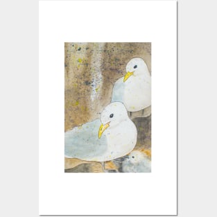 Seagull Posters and Art